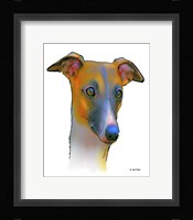 Greyhound 1 Fine Art Print
