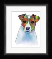 Jack Russell Terrier 1 Fine Art Print