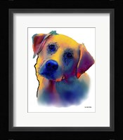 Labrador Yellow 1 Fine Art Print