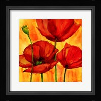 Coquelicots III Fine Art Print
