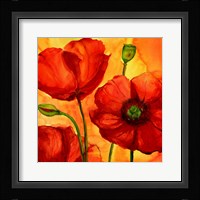 Coquelicots II Fine Art Print