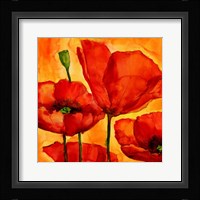 Coquelicots I Fine Art Print