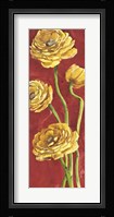 Ranuncoli in Rosso Fine Art Print