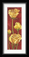 Rose in Rosso Fine Art Print