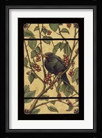 Apple Raven Framed Print