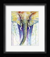 Elephant Colors Fine Art Print