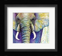 Elephant Face Fine Art Print
