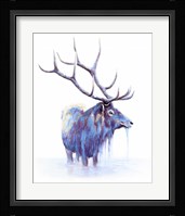 Elk in Water Fine Art Print
