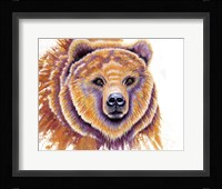 Grizzly Bear Fine Art Print