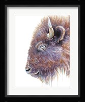 Spirit of the West Buffalo Fine Art Print