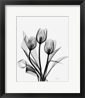 Three Gray Tulips H14 Framed Print