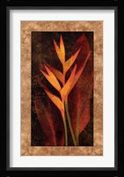 Heliconia Fine Art Print