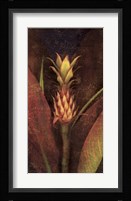 Pineapple Fine Art Print
