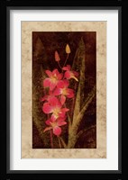 Orchid Fine Art Print