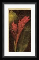 Ginger Fine Art Print