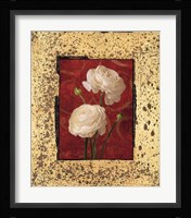 Ranunculus Fine Art Print