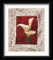 Calla Lilies Fine Art Print