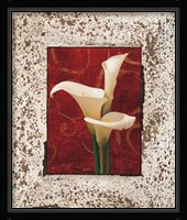 Calla Lilies Fine Art Print