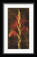 Gladiola Fine Art Print
