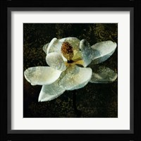 Magnolia II Fine Art Print