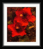 Hibiscus II Fine Art Print