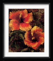 Hibiscus I Fine Art Print