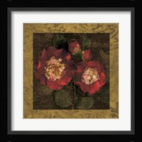 Red Camellias II Fine Art Print