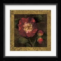 Red Camellias I Fine Art Print