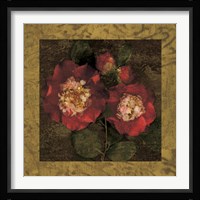 Red Camellias II Fine Art Print