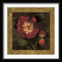 Red Camellias I Fine Art Print