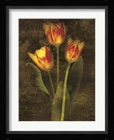 Three Tulips Fine Art Print