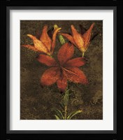 Red Lilies Fine Art Print