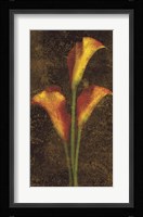 Callas Fine Art Print