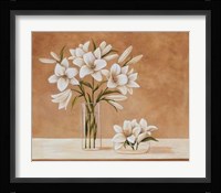 Lis Blanches Fine Art Print