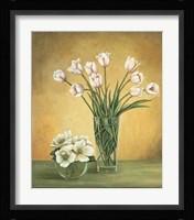 Tulipes Blanches Fine Art Print