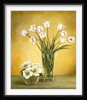 Tulipes Blanches Fine Art Print