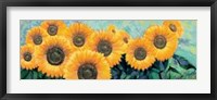 Fiori di Girasole Fine Art Print