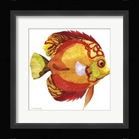 Fish 3 Red-Yellow Framed Print