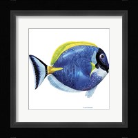 Fish 4 Blue-Yellow Framed Print