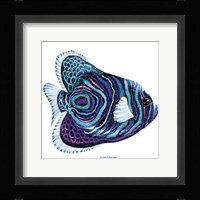 New Fish 3 Framed Print