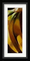 Banane Fine Art Print