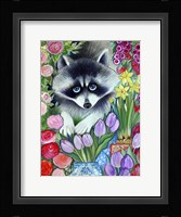Raccoon Fine Art Print