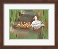 Ducks Fine Art Print
