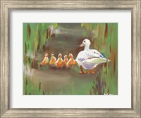 Ducks Fine Art Print