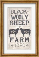 Black Wooly Sheep Fine Art Print