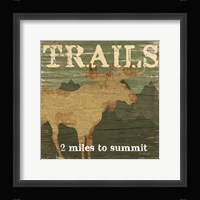Trail Framed Print