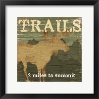 Trail Framed Print
