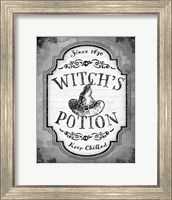 Witch's Potion Fine Art Print