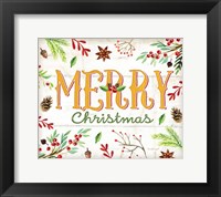Merry Christmas - Mistletoe Framed Print