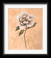 Magnolia Fine Art Print